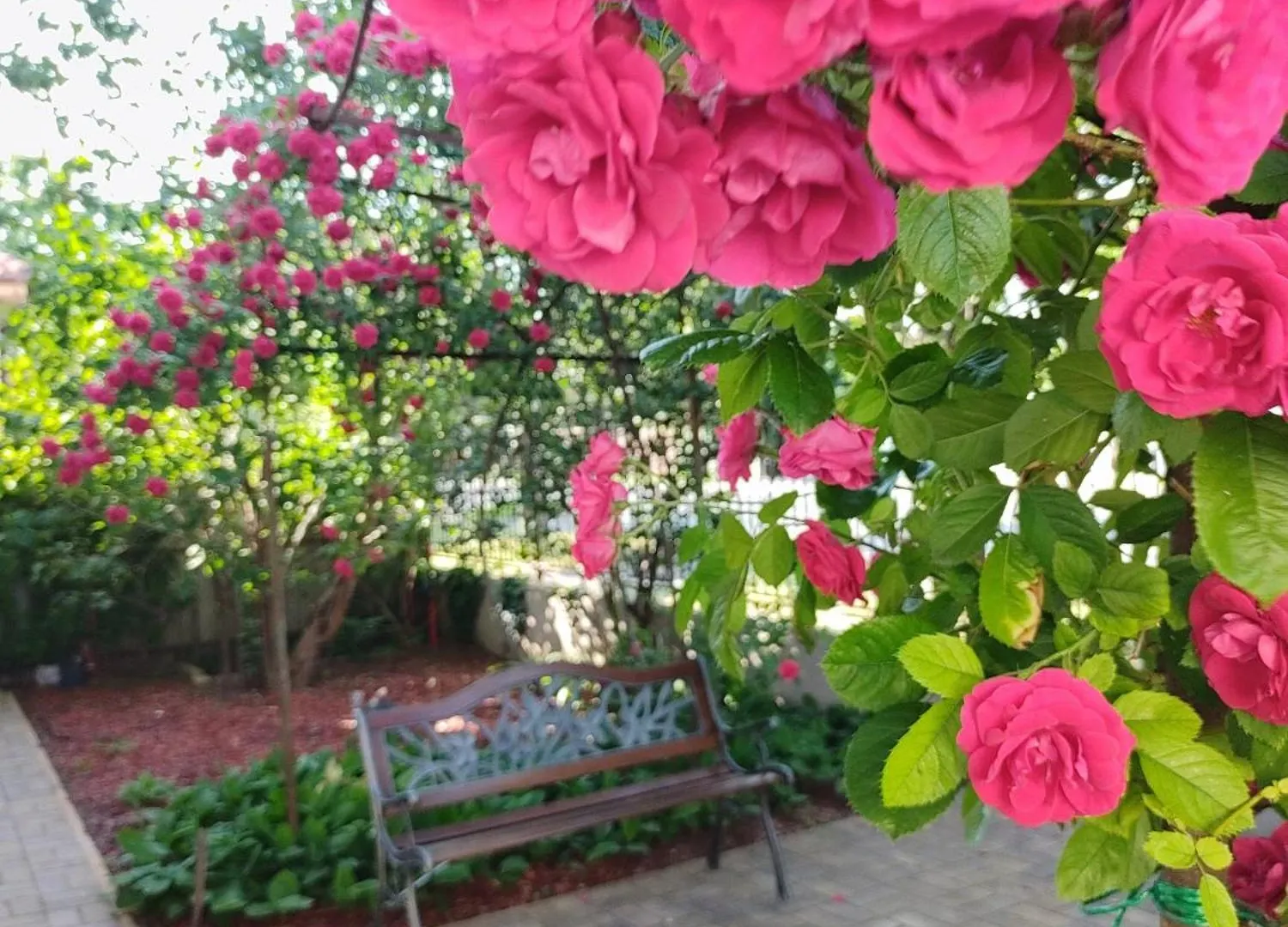 Berta Panzio Bed & Breakfast Hajduszoboszlo